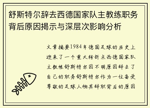 舒斯特尔辞去西德国家队主教练职务背后原因揭示与深层次影响分析 舒斯特尔辞去西德国家队主教练职务背后原因揭示与深层次影响分析