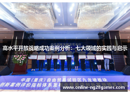 高水平开放战略成功案例分析：七大领域的实践与启示